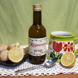 ZÁZVOROVÝ SIRUP 250ml